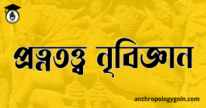 নৃতাত্ত্বিক তত্ত্ব