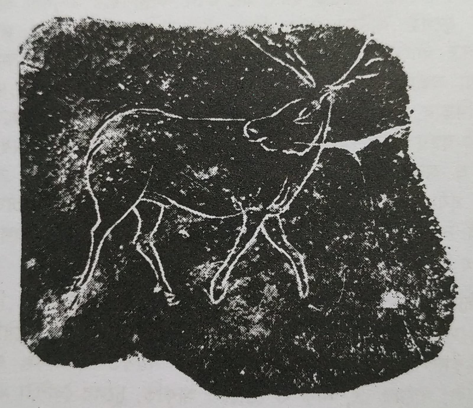 মানুষের বিবর্তন