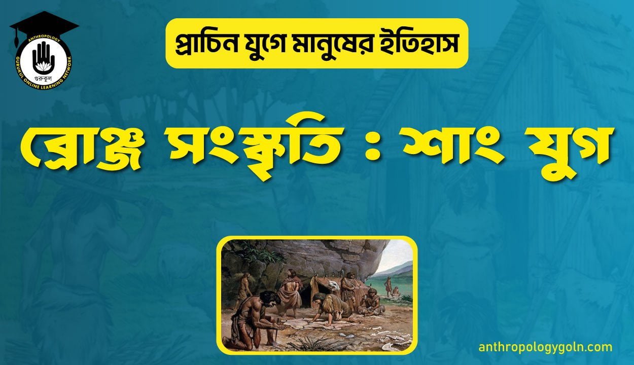 ব্রোঞ্জ সংস্কৃতি : শাং যুগ