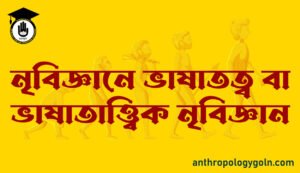 নৃবিজ্ঞানে ভাষাতত্ব বা ভাষাতাত্ত্বিক নৃবিজ্ঞান